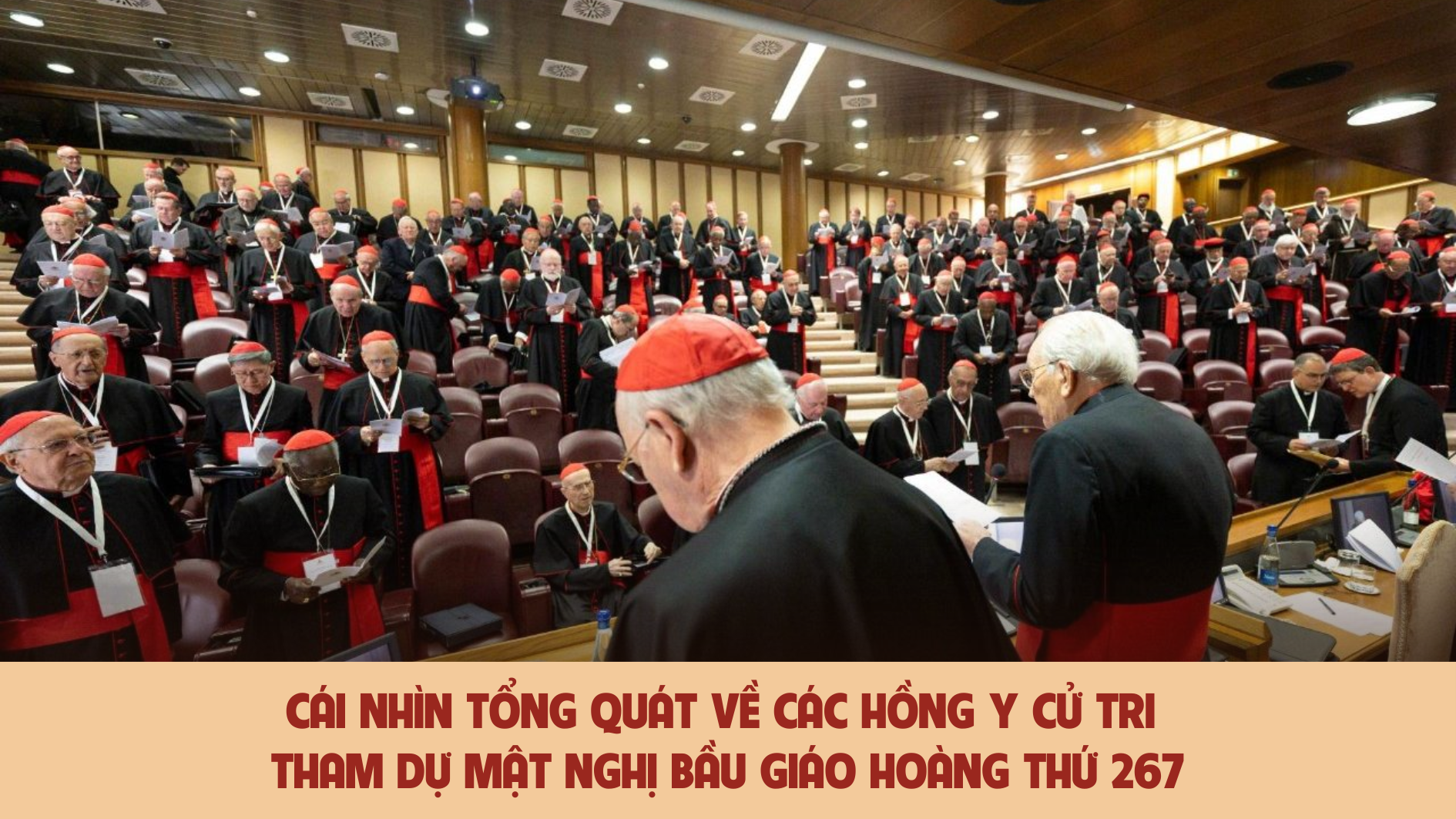Cái nhìn tổng quát về các Hồng y cử tri tham dự Mật nghị bầu Giáo hoàng thứ 267